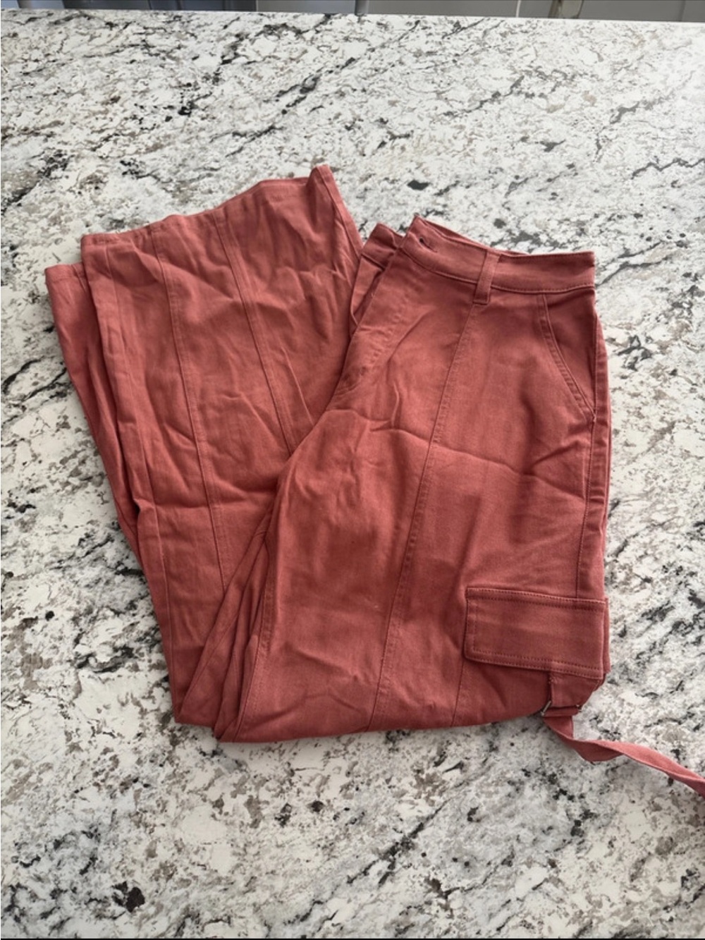 Cato Wide-Leg Cargo Pants in Rusty Brick